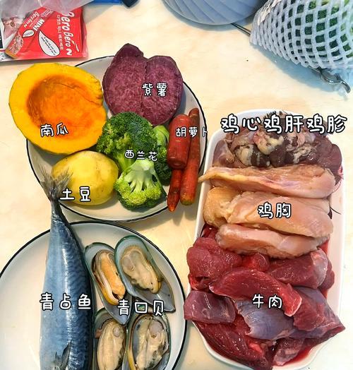 泰迪狗可以吃哪些食物？（探索泰迪狗饮食的世界，了解合适的食物 - 新生家伴