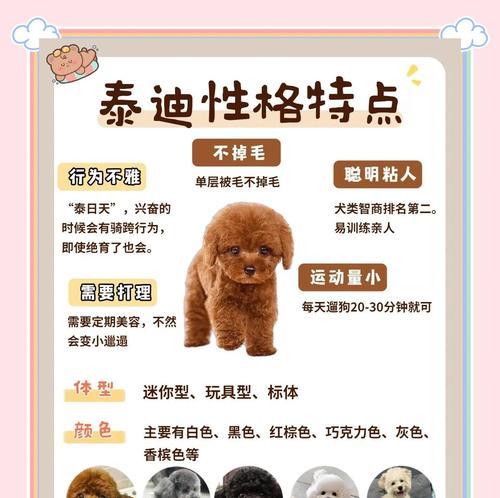 泰迪美容频率（探讨泰迪美容的最佳频率以及关键因素）(图3)