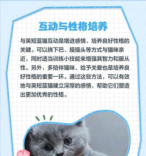 揭秘英短蓝猫发腮的秘密（探索英短蓝猫发腮的原因和方法）(图2)