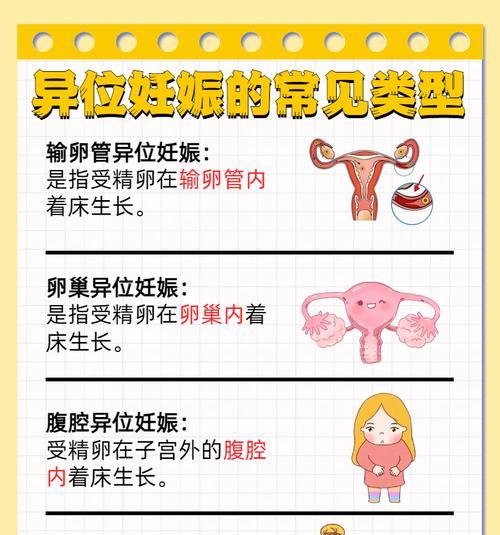 怀孕多久能在子宫里看到?(从受孕到胚胎植入,探究怀孕早期的奇妙过程)(图3) 怀孕多久能在子宫里看到?(从受孕到胚胎植入,探究怀孕早期的奇妙过程)(图3)