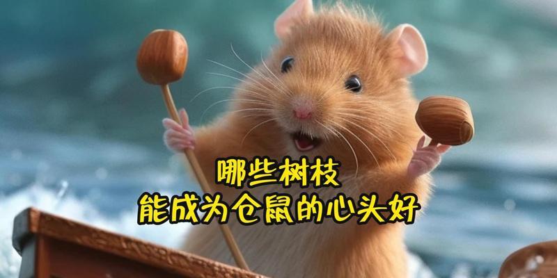 仓鼠磨牙的重要性及适用工具选择 - 新生家伴