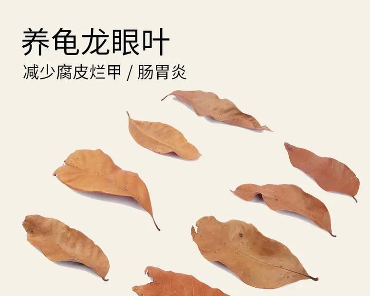 乌龟水质控制的重要性(保持水质健康,让乌龟快乐生活)(图2) 乌龟水质控制的重要性(保持水质健康,让乌龟快乐生活)(图2)