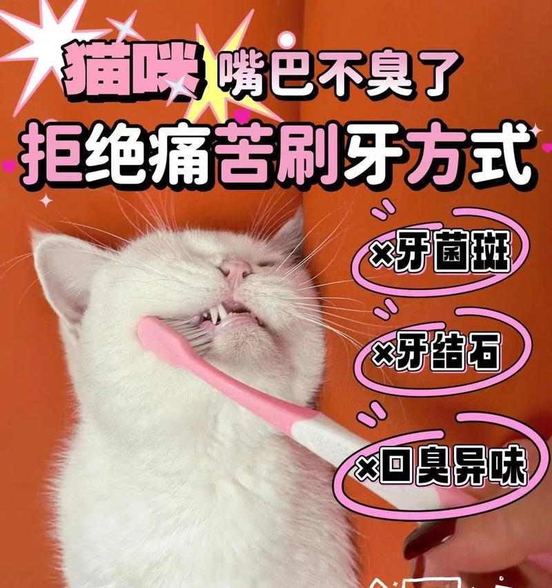 嘴巴为什么会臭?(深入探索口臭的原因及预防方法)(图3) 嘴巴为什么会臭?(深入探索口臭的原因及预防方法)(图3)