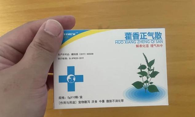 为什么狗一直需要药物治疗(探究狗需要长期用药的原因及影响)(图3) 为什么狗一直需要药物治疗(探究狗需要长期用药的原因及影响)(图3)