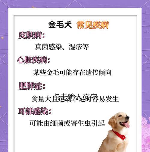金毛配种后的怀孕检测时机及方法（了解金毛配种成功与否的关键时刻，从早期孕检开始）(图2)