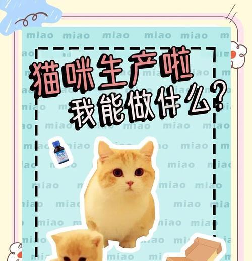 母猫分娩需要多长时间?(了解母猫分娩过程及注意事项)(图3) 母猫分娩需要多长时间?(了解母猫分娩过程及注意事项)(图3)