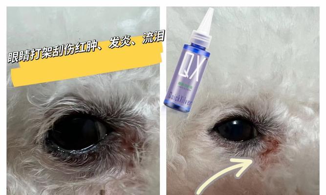 如何处理狗狗被咬伤的皮肤问题(家庭应急处理方法与注意事项)(图3) 如何处理狗狗被咬伤的皮肤问题(家庭应急处理方法与注意事项)(图3)