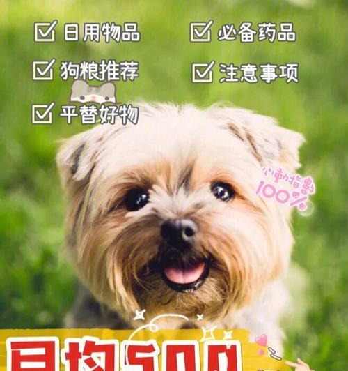 泰迪狗狗的月度狗粮摄入量计算方法及喂养注意事项（了解泰迪狗狗不同生长阶段的营养需求）(图3)