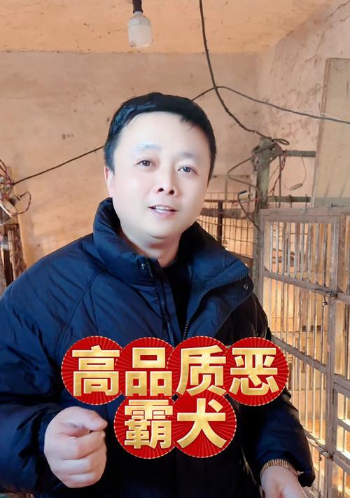 如何正确洗洁恶霸犬的耳朵（每月一次，让你的宠物恶霸犬远离耳部问题）(图2)