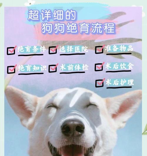 狗结扎手术后的恢复时间及注意事项（了解狗结扎手术的恢复过程，让宠物更健康快乐）(图3)