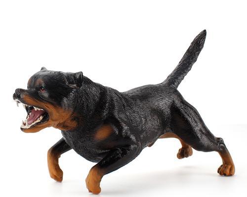 如何正确洗洁恶霸犬的耳朵（每月一次，让你的宠物恶霸犬远离耳部问题）(图1)