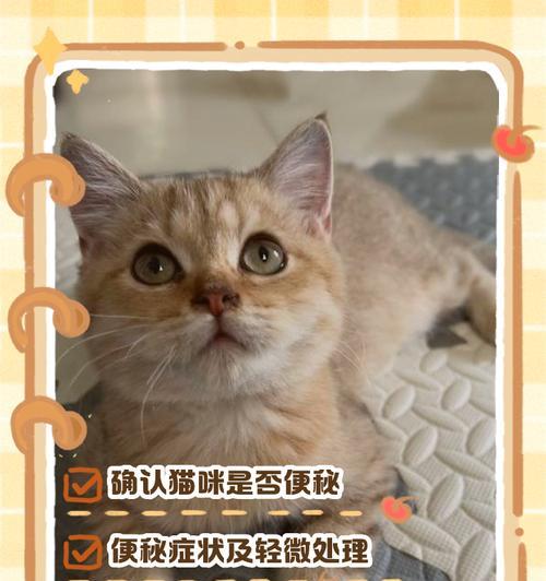 猫的排便频率及健康状况探究（猫每日排便次数的关键影响因素与健康保障措施）(图3)