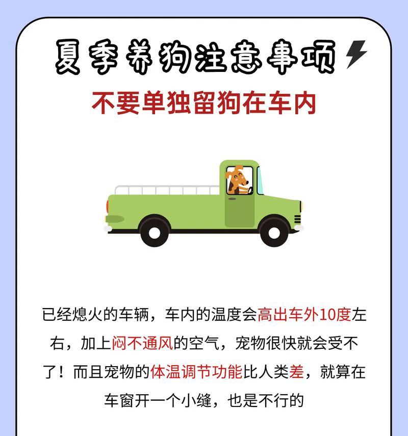 春天养狗注意事项（如何在春天科学养狗） - 新生家伴