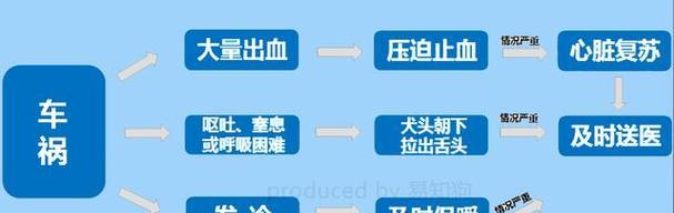 为什么狗身子会发冷？（探究导致狗身体发冷的原因及应对方法）(图2)