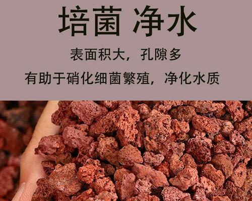 水族店中最佳滤材的选择（为您的水族宠物提供清澈透明的家园）(图3)