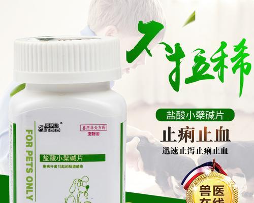 腹泻出血如何治疗？（选择适合的药物缓解症状，恢复肠道健康） - 新生家伴