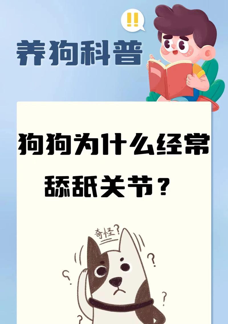 为什么狗狗喜欢舔人？（揭秘狗狗舔人的七大原因）(图1)