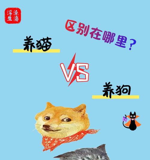 怎样将宠物狗带回家(居住在外地的人如何安全、顺利地将宠物狗带回家)(图3) 怎样将宠物狗带回家(居住在外地的人如何安全、顺利地将宠物狗带回家)(图3)