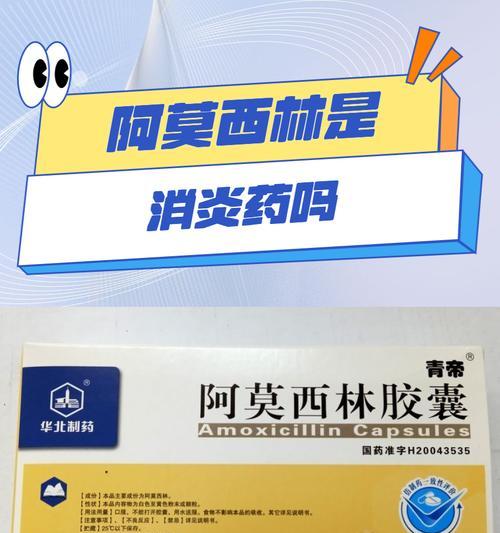 泰迪消炎药大揭秘（了解泰迪消炎药的种类和功效，保护您的爱宠健康）(图2)