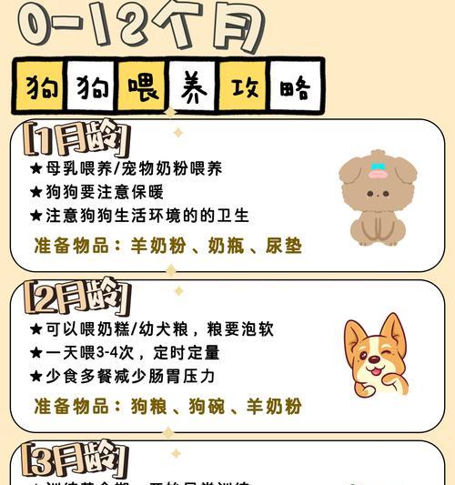 狗狗吃排骨炖需要多久？（探究狗狗吃排骨炖的最佳时间和做法）(图1)