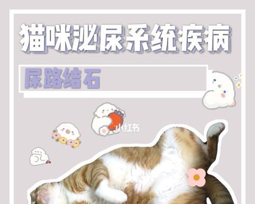 猫尿结石后多久洗澡？解读正确的洗澡时间（宠物猫健康护理之洗澡时间的重要性与注意事项）(图1)