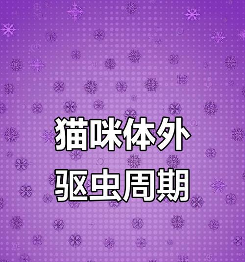 猫的驱虫周期及重要性（了解猫咪驱虫的时间和方法，保护它们的健康）(图3)