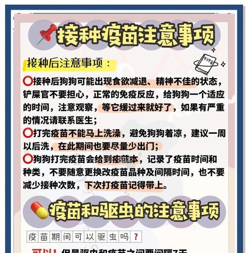 小狗疫苗接种计划与注意事项（了解小狗每个疫苗期间的时间和注意事项，让它健康成长）(图2)