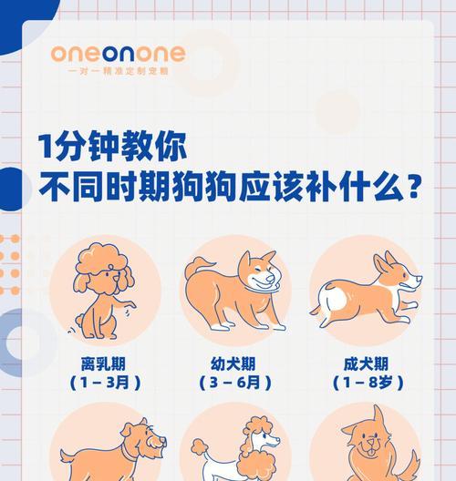 狗狗是否能喝牛奶？（探讨狗狗对牛奶的消化能力及相关健康问题）(图1)