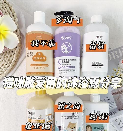 以猫皮屑多吃什么食物好(解决猫皮屑问题的饮食调整)(图3) 以猫皮屑多吃什么食物好(解决猫皮屑问题的饮食调整)(图3)