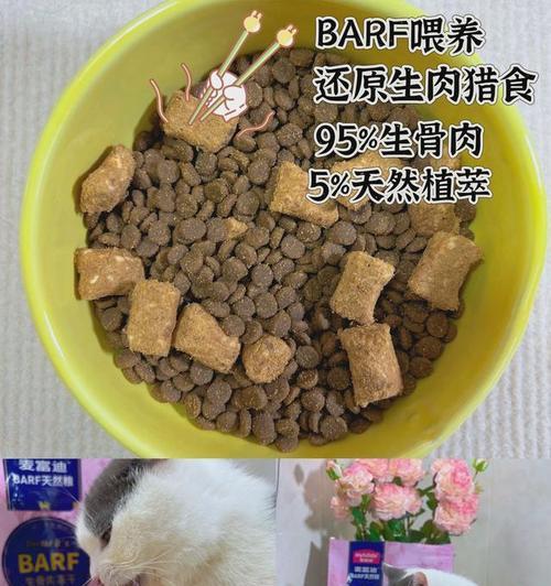 以猫皮屑多吃什么食物好（解决猫皮屑问题的饮食调整） - 新生家伴