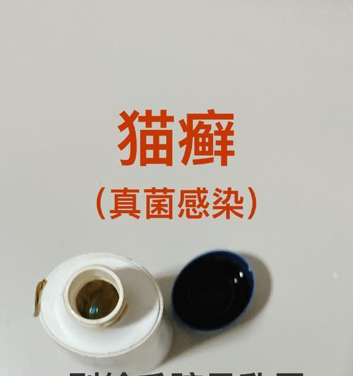 猫头长癣的治疗方法及药物选择（探究猫头长癣的成因与常用药物治疗）(图2)