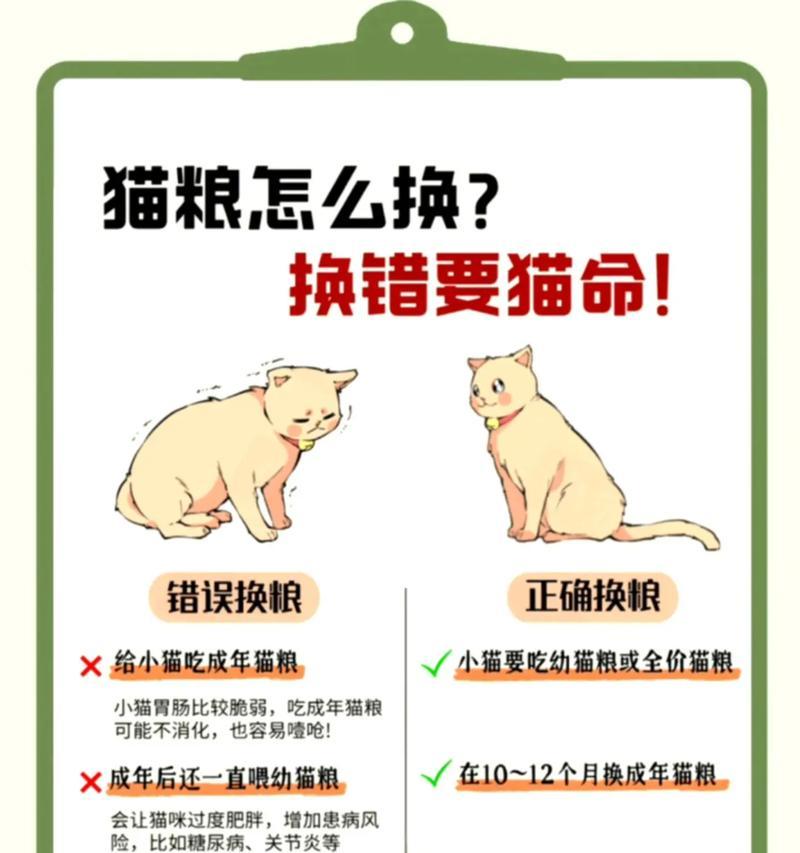 猫儿拉稀，需要持续关注多久？（解决猫儿拉稀问题的关键在于耐心和细心）(图3)