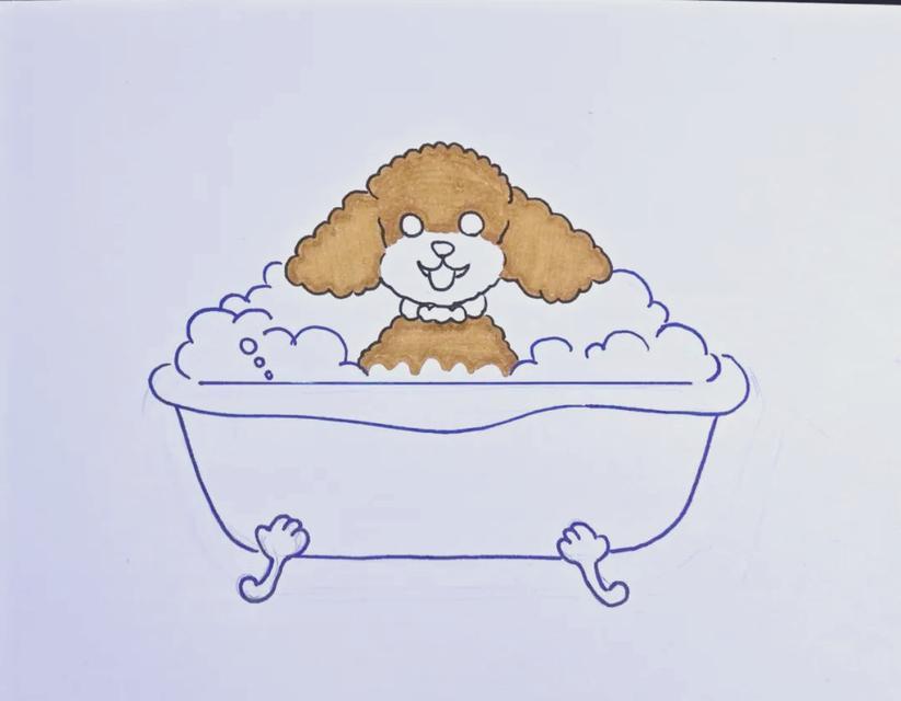 泰迪犬生产后多久可以洗澡？（了解泰迪犬生产后洗澡的适当时间及注意事项）(图3)