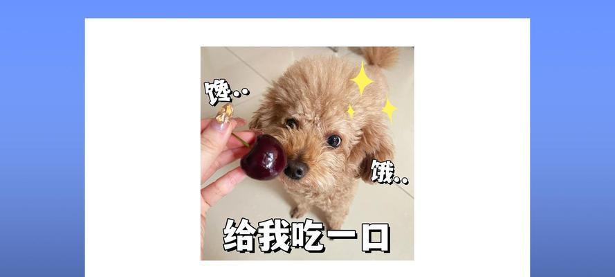 小心！泰迪不能吃的水果有哪些？（了解泰迪不能吃的水果，守护宠物健康）(图2)