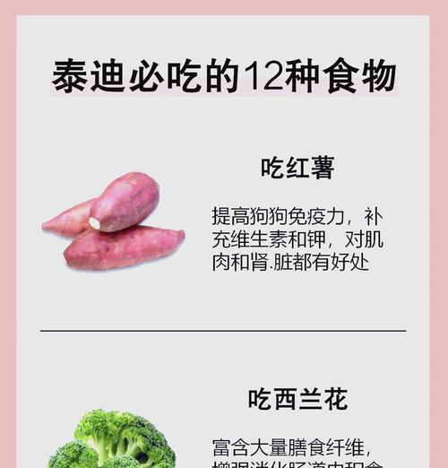 小心！泰迪不能吃的水果有哪些？（了解泰迪不能吃的水果，守护宠物健康）(图1)