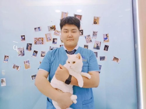 瑞辰宠物医院集团 | 第3周“每周之星”光荣榜(图6)