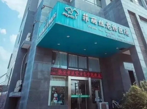 从宠物医生到人大代表：他让三四线城市也有了高品质宠物医疗服务(图2)