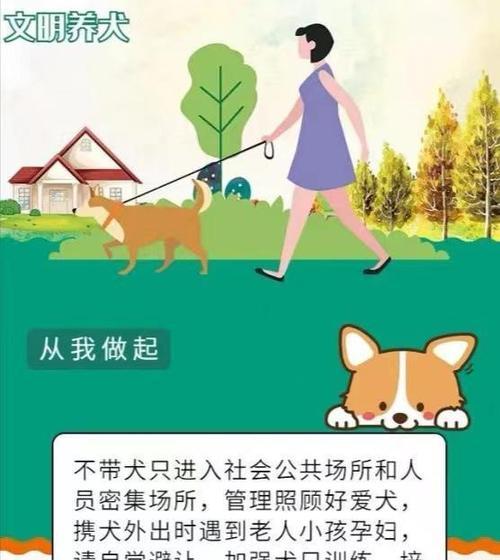 解决狗狗行为问题的有效方法（探索训练狗狗行为问题的实用技巧）(图3)