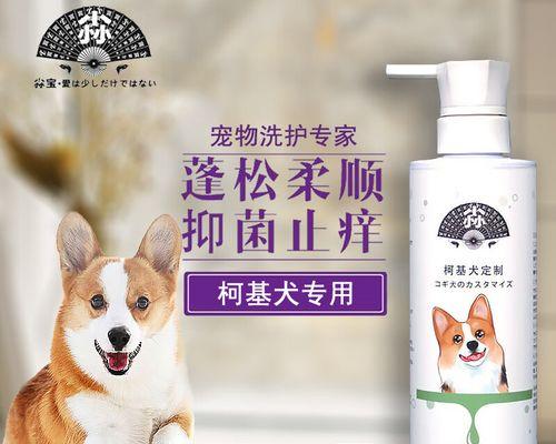 柯基犬洗澡全攻略（选择适合柯基犬的洗澡水和注意事项） - 新生家伴