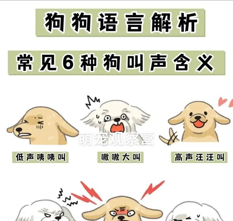 解决狗狗行为问题的有效方法（探索训练狗狗行为问题的实用技巧）(图2)