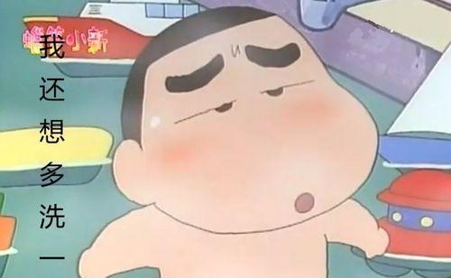 小狗洗完澡为什么会兴奋不已？（揭秘小狗洗澡后的兴奋原因，细细品味其中的乐趣！）(图2)