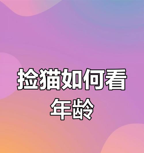 如何判断猫咪年龄?探索牙齿变化揭示年龄之谜(牙齿变化的秘密解读,从牙齿看猫咪年龄)(图3) 如何判断猫咪年龄?探索牙齿变化揭示年龄之谜(牙齿变化的秘密解读,从牙齿看猫咪年龄)(图3)