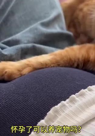 弓形虫防治（狗狗疫苗的有效性及科学预防策略）(图1)