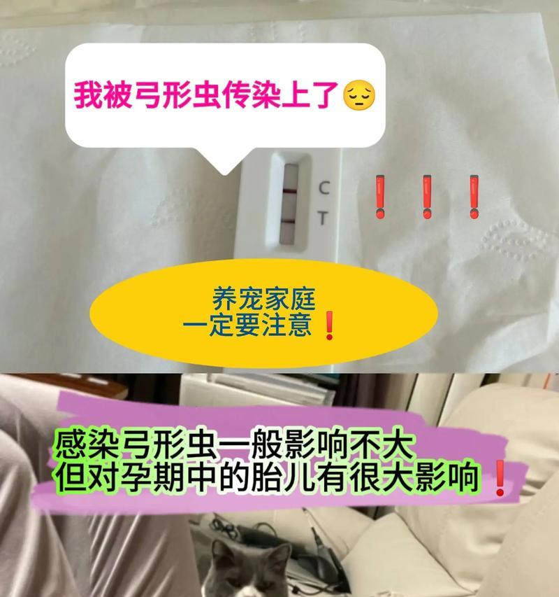 弓形虫防治（狗狗疫苗的有效性及科学预防策略）(图2)