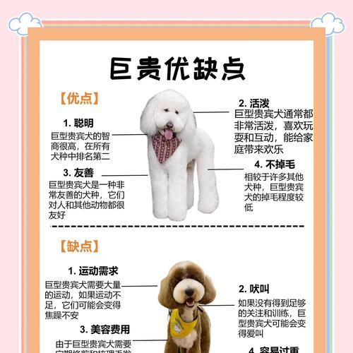 贵宾毛发要长多久？（贵宾犬的毛发生长周期和保养关键）(图1)