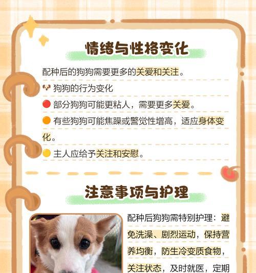 狗狗最佳配种时间确定的三种方法（了解如何确定狗狗最佳配种时间的三种方法）(图3)