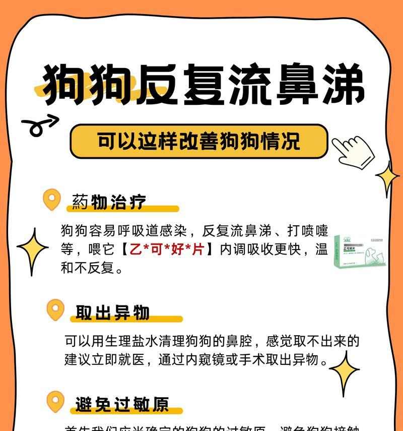 狗狗流鼻涕的症状、原因和治疗方法解析（了解狗狗流鼻涕的相关问题，助您有效应对）(图3)