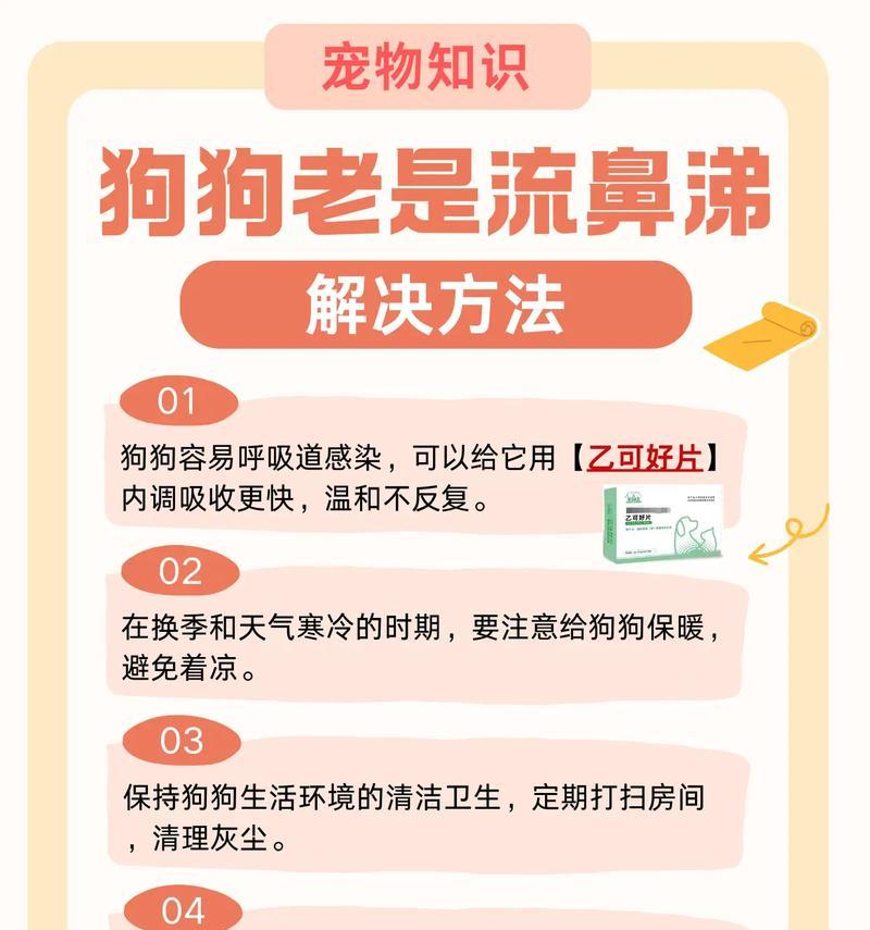 狗狗流鼻涕的症状、原因和治疗方法解析（了解狗狗流鼻涕的相关问 - 新生家伴