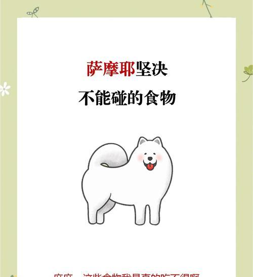萨摩耶犬的性情特点及是否会咬人（了解这一可爱宠物的性格和特质，从而了解它是否有攻击性）(图2)
