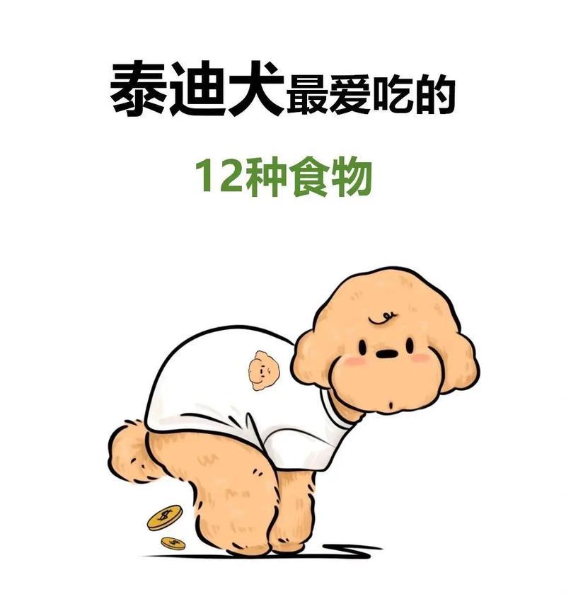 养一只泰迪需要哪些东西?(关于泰迪狗狗的必备用品和注意事项)(图3) 养一只泰迪需要哪些东西?(关于泰迪狗狗的必备用品和注意事项)(图3)